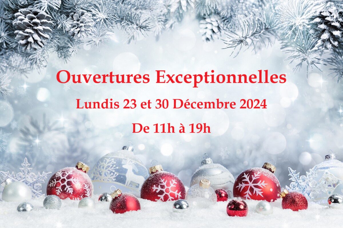 OUVERTURE NOEL 2024 2